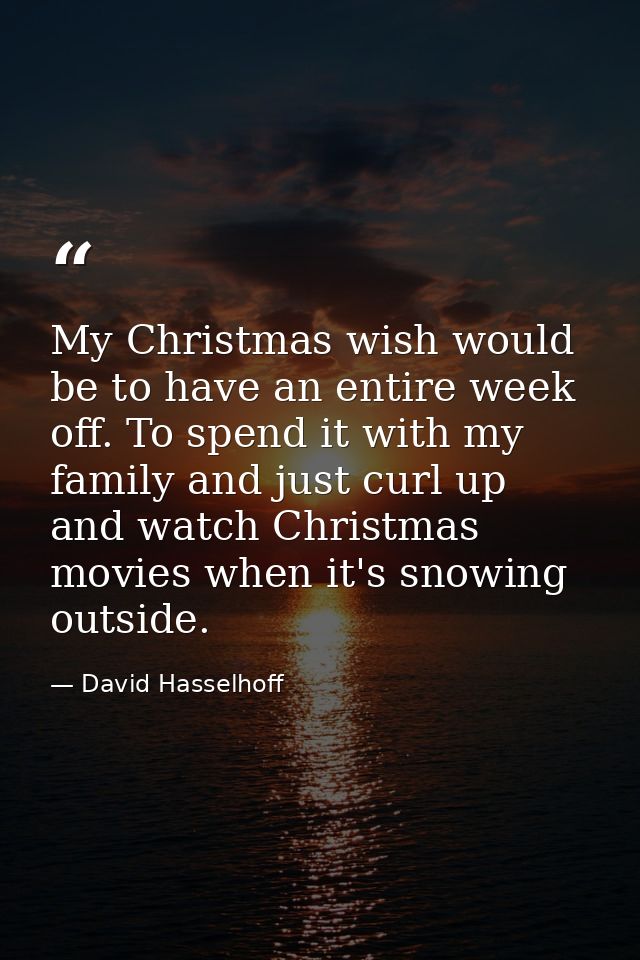 My Christmas wish would be to have an entire week off. To spend it with my family and just curl up and watch Christmas m — David Hasselhoff