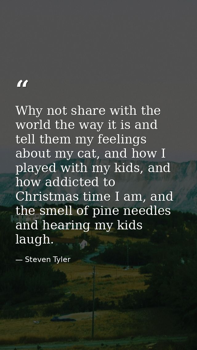 Why not share with the world the way it is and tell them my feelings about my cat, and how I played with my kids, and ho — Steven Tyler