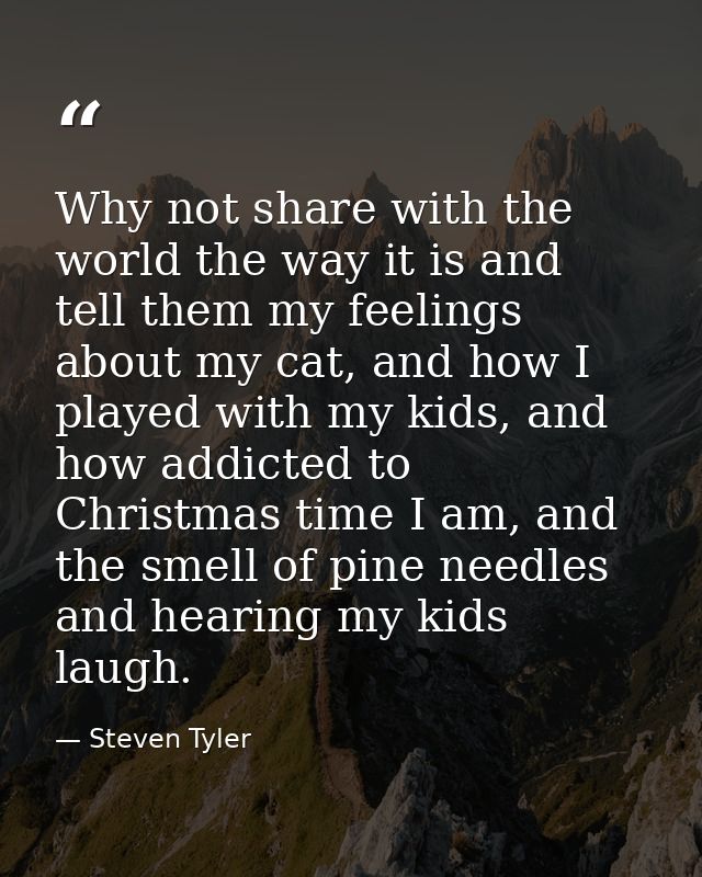 Why not share with the world the way it is and tell them my feelings about my cat, and how I played with my kids, and ho — Steven Tyler