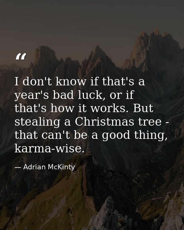 I don't know if that's a year's bad luck, or if that's how it works. But stealing a Christmas tree - that can't be a goo — Adrian McKinty