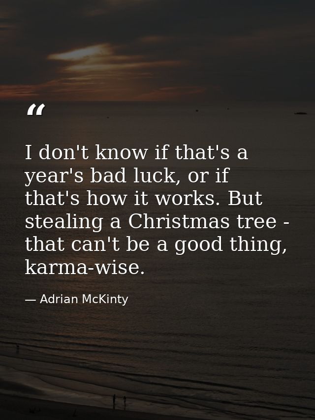 I don't know if that's a year's bad luck, or if that's how it works. But stealing a Christmas tree - that can't be a goo — Adrian McKinty