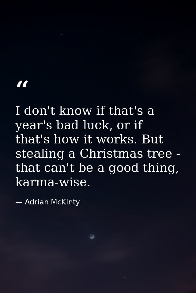 I don't know if that's a year's bad luck, or if that's how it works. But stealing a Christmas tree - that can't be a goo — Adrian McKinty