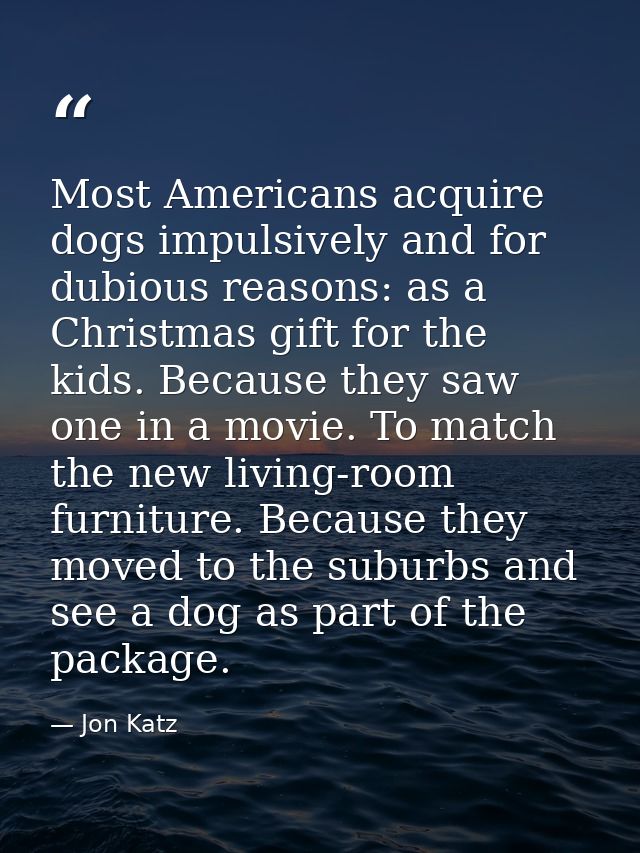 Most Americans acquire dogs impulsively and for dubious reasons: as a Christmas gift for the kids. Because they saw one  — Jon Katz