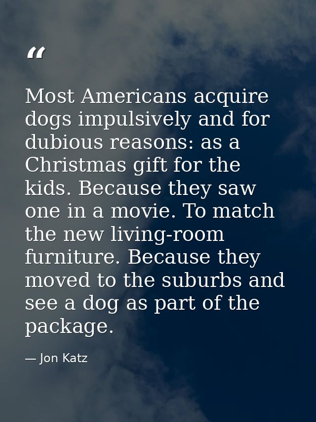 Most Americans acquire dogs impulsively and for dubious reasons: as a Christmas gift for the kids. Because they saw one  — Jon Katz