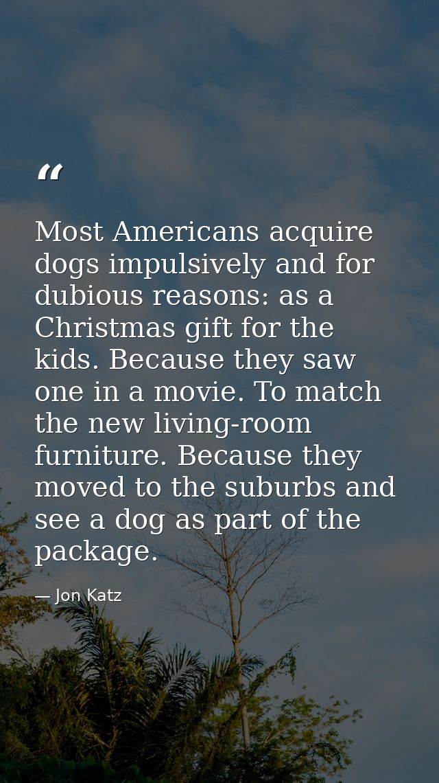 Most Americans acquire dogs impulsively and for dubious reasons: as a Christmas gift for the kids. Because they saw one  — Jon Katz