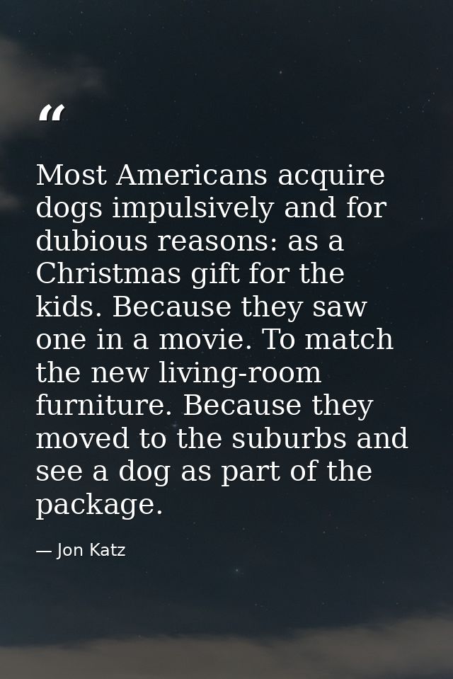 Most Americans acquire dogs impulsively and for dubious reasons: as a Christmas gift for the kids. Because they saw one  — Jon Katz