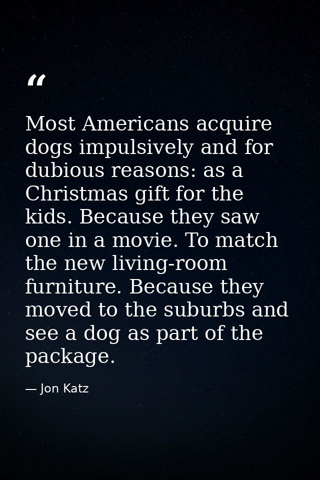 Most Americans acquire dogs impulsively and for dubious reasons: as a Christmas gift for the kids. Because they saw one  — Jon Katz