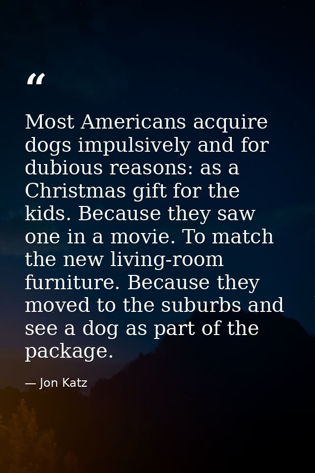 Most Americans acquire dogs impulsively and for dubious reasons: as a Christmas gift for the kids. Because they saw one  — Jon Katz