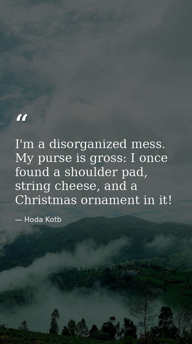 I'm a disorganized mess. My purse is gross: I once found a shoulder pad, string cheese, and a Christmas ornament in it! — Hoda Kotb