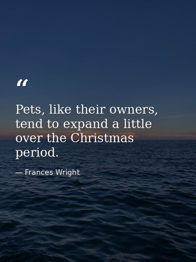 Pets, like their owners, tend to expand a little over the Christmas period. — Frances Wright
