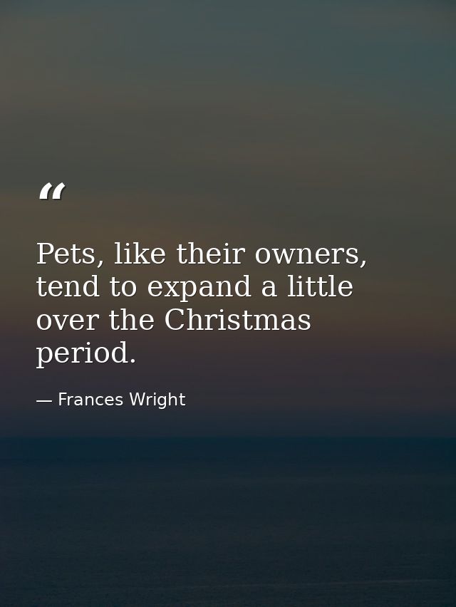 Pets, like their owners, tend to expand a little over the Christmas period. — Frances Wright