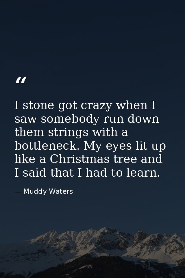 I stone got crazy when I saw somebody run down them strings with a bottleneck. My eyes lit up like a Christmas tree and  — Muddy Waters
