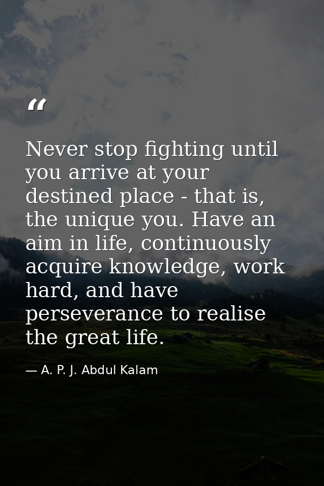 Never stop fighting until you arrive at your destined place - that is, the unique you. Have an aim in life, continuously — A. P. J. Abdul Kalam