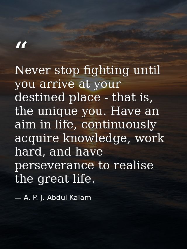 Never stop fighting until you arrive at your destined place - that is, the unique you. Have an aim in life, continuously — A. P. J. Abdul Kalam