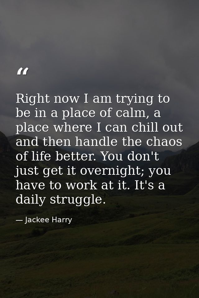Right now I am trying to be in a place of calm, a place where I can chill out and then handle the chaos of life better.  — Jackee Harry