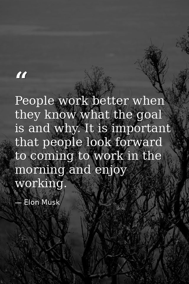 People work better when they know what the goal is and why. It is important that people look forward to coming to work i — Elon Musk
