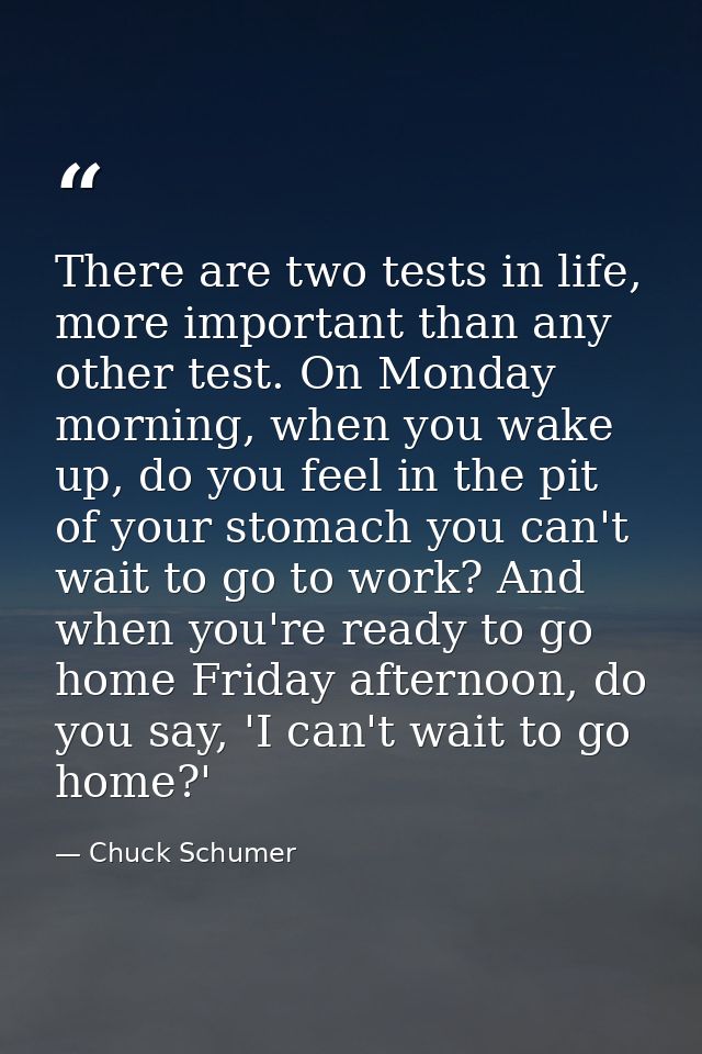 There are two tests in life, more important than any other test. On Monday morning, when you wake up, do you feel in the — Chuck Schumer