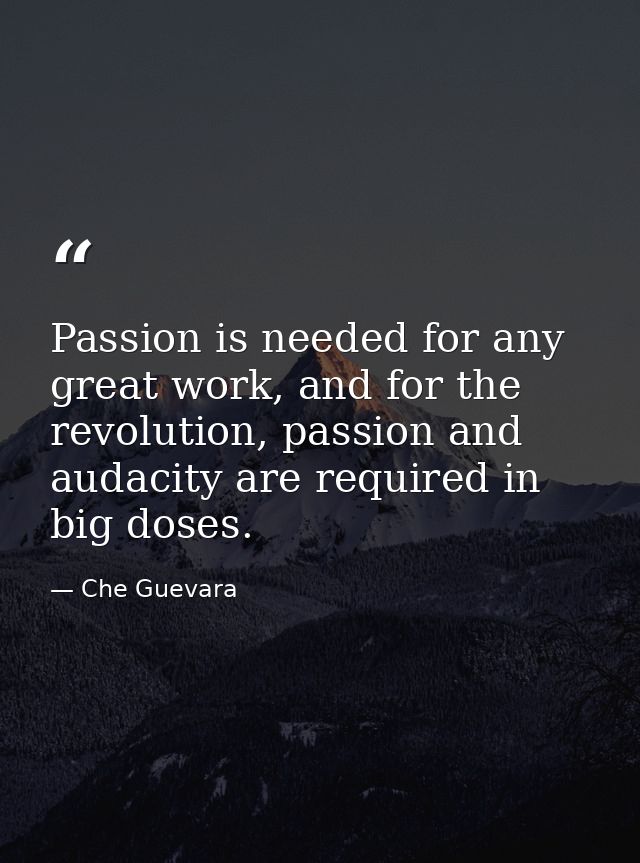 Passion is needed for any great work, and for the revolution, passion and audacity are required in big doses. — Che Guevara