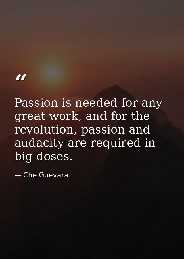 Passion is needed for any great work, and for the revolution, passion and audacity are required in big doses. — Che Guevara