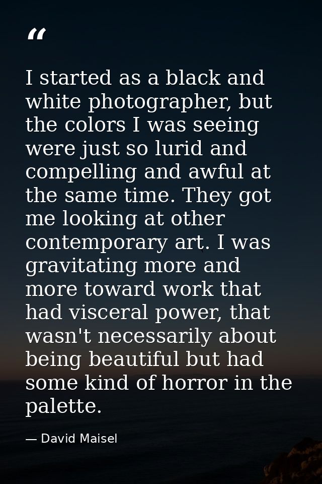 I started as a black and white photographer, but the colors I was seeing were just so lurid and compelling and awful at  — David Maisel