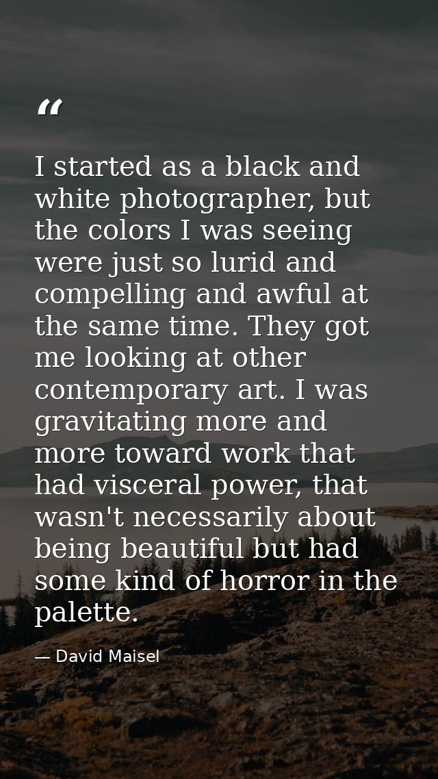 I started as a black and white photographer, but the colors I was seeing were just so lurid and compelling and awful at  — David Maisel