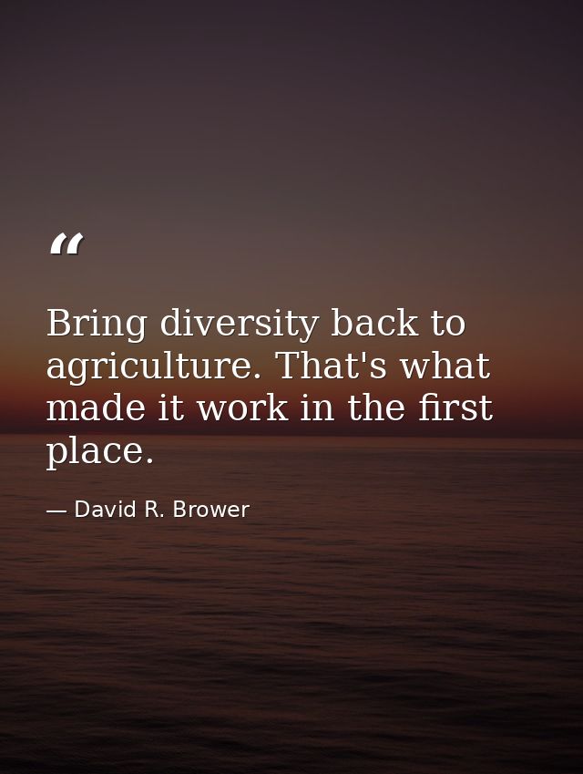 Bring diversity back to agriculture. That's what made it work in the first place. — David R. Brower