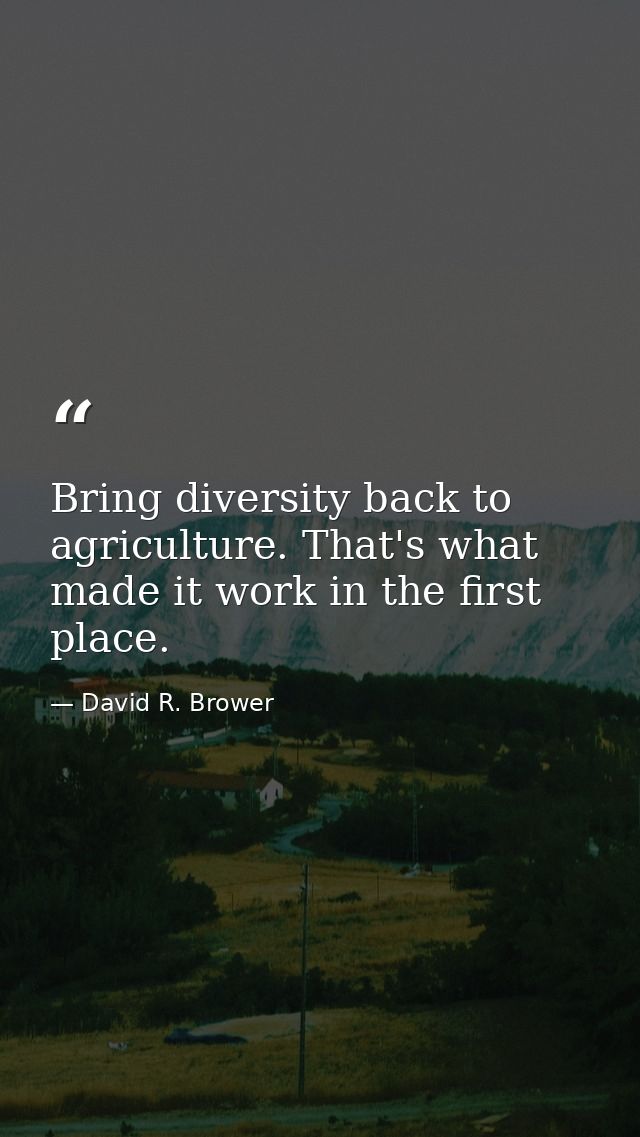 Bring diversity back to agriculture. That's what made it work in the first place. — David R. Brower