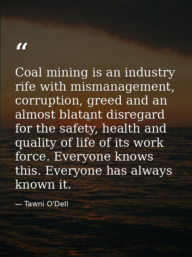 Coal mining is an industry rife with mismanagement, corruption, greed and an almost blatant disregard for the safety, he — Tawni O'Dell