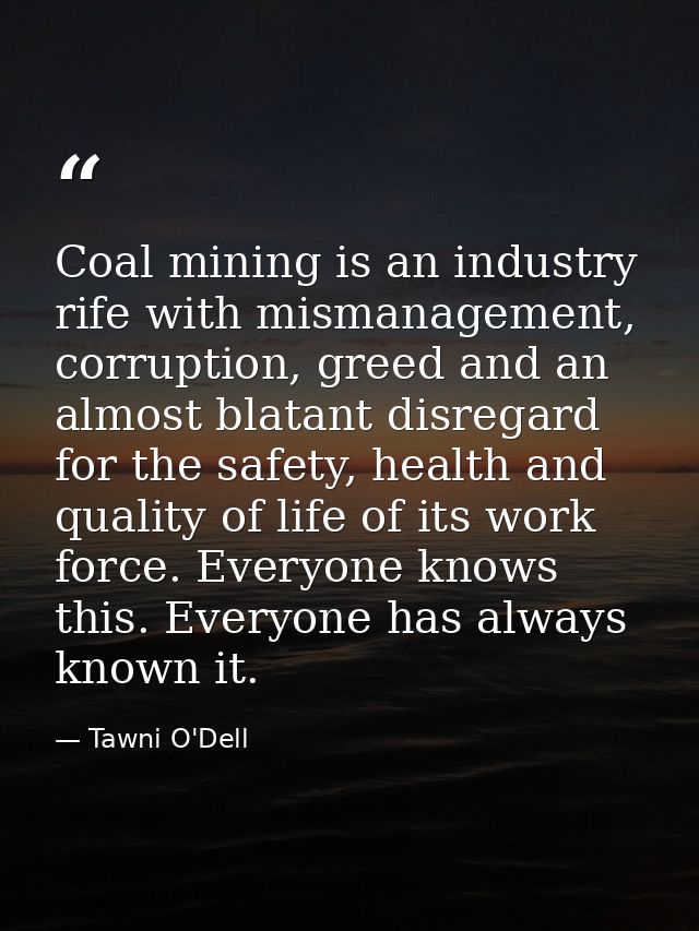 Coal mining is an industry rife with mismanagement, corruption, greed and an almost blatant disregard for the safety, he — Tawni O'Dell