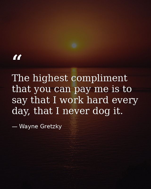 The highest compliment that you can pay me is to say that I work hard every day, that I never dog it. — Wayne Gretzky