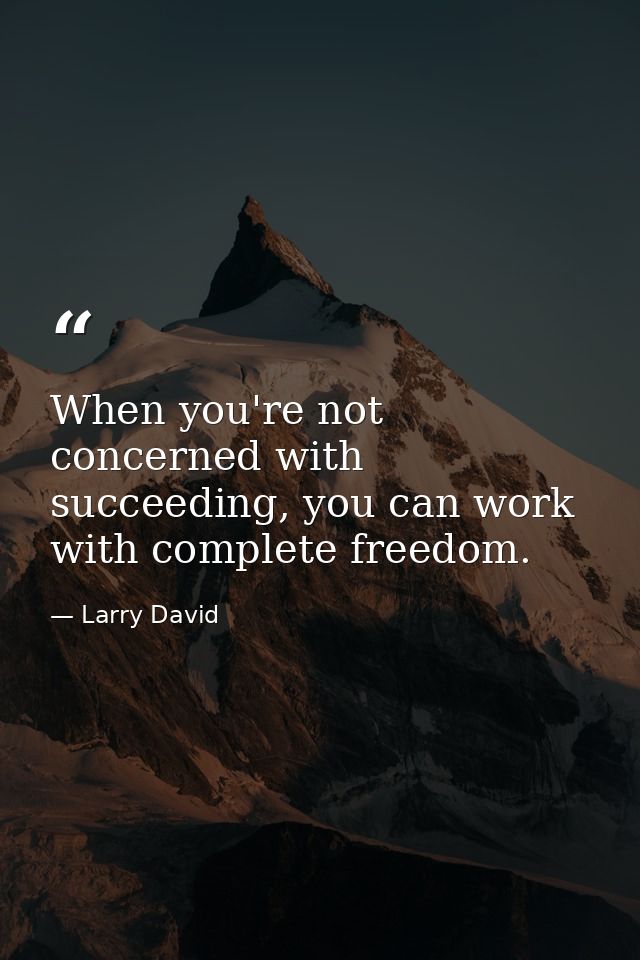 When you're not concerned with succeeding, you can work with complete freedom. — Larry David