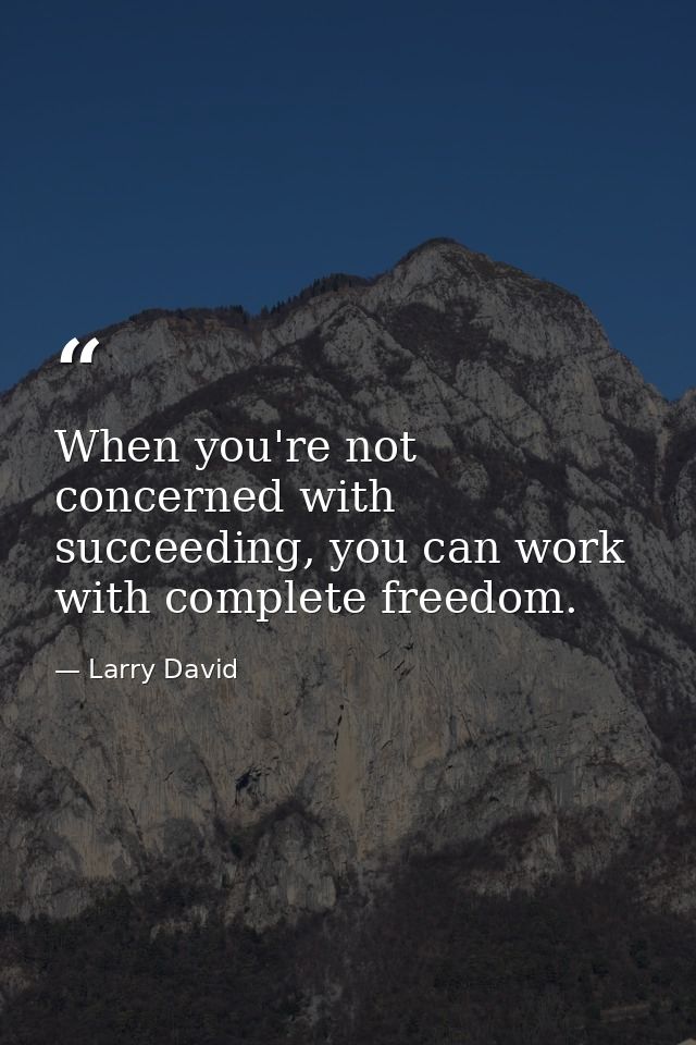 When you're not concerned with succeeding, you can work with complete freedom. — Larry David