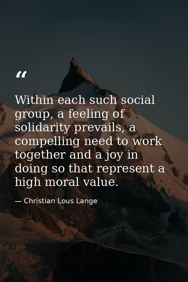 Within each such social group, a feeling of solidarity prevails, a compelling need to work together and a joy in doing s — Christian Lous Lange