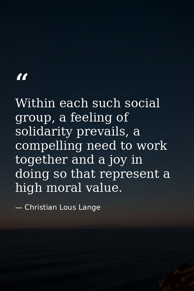 Within each such social group, a feeling of solidarity prevails, a compelling need to work together and a joy in doing s — Christian Lous Lange