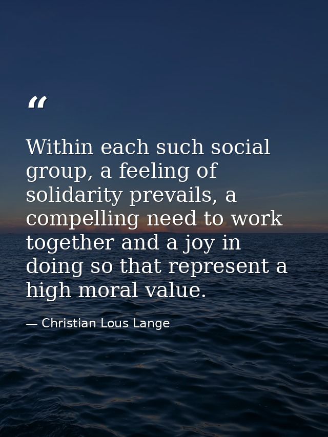 Within each such social group, a feeling of solidarity prevails, a compelling need to work together and a joy in doing s — Christian Lous Lange