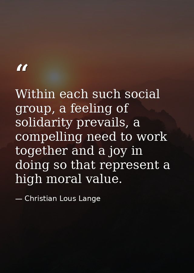 Within each such social group, a feeling of solidarity prevails, a compelling need to work together and a joy in doing s — Christian Lous Lange