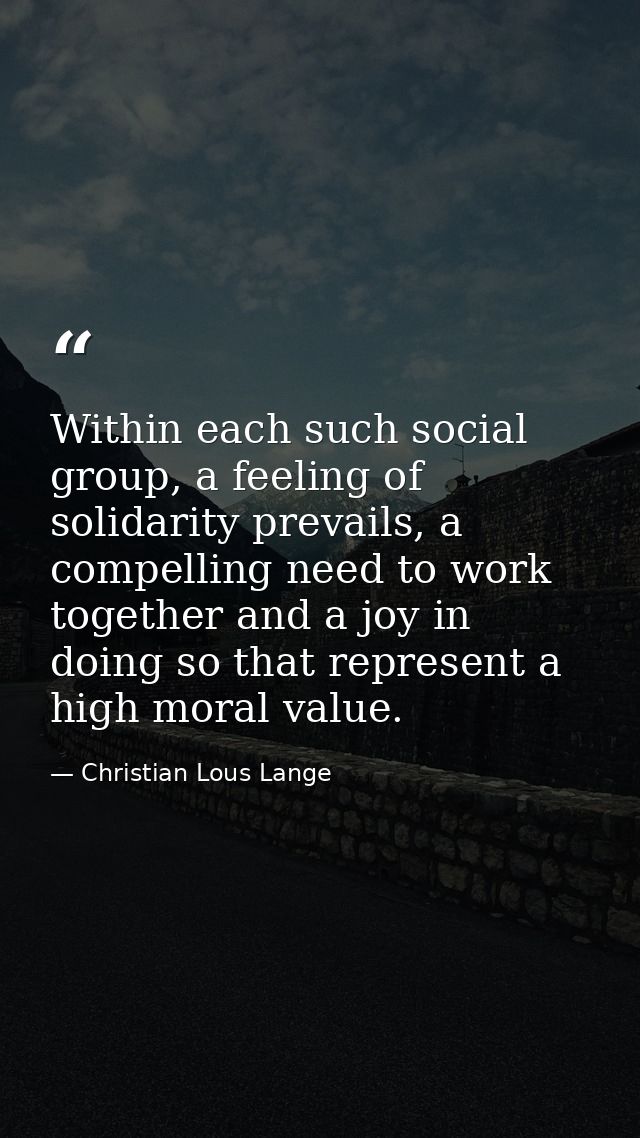 Within each such social group, a feeling of solidarity prevails, a compelling need to work together and a joy in doing s — Christian Lous Lange