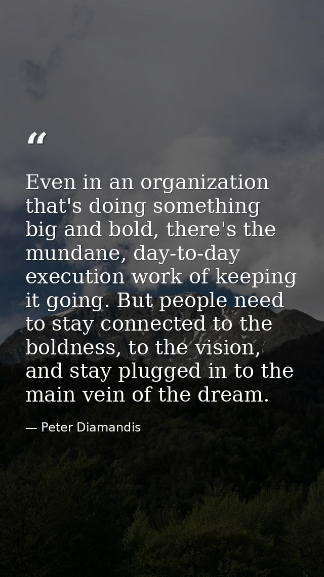 Even in an organization that's doing something big and bold, there's the mundane, day-to-day execution work of keeping i — Peter Diamandis