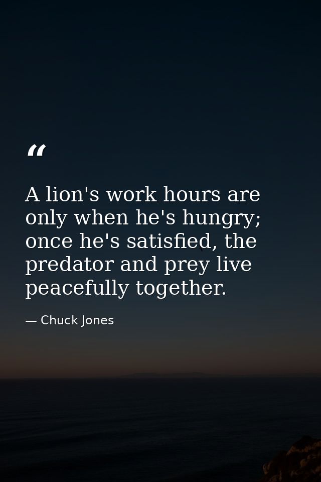A lion's work hours are only when he's hungry; once he's satisfied, the predator and prey live peacefully together. — Chuck Jones