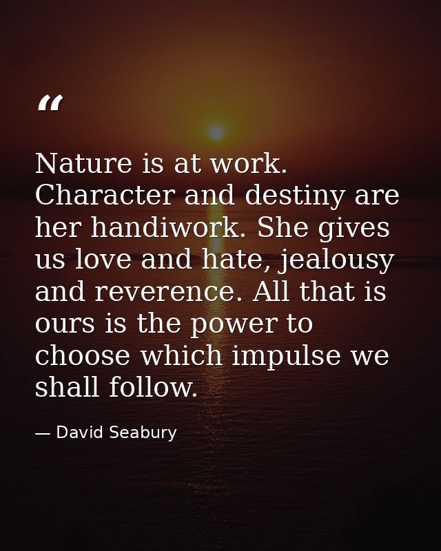 Nature is at work. Character and destiny are her handiwork. She gives us love and hate, jealousy and reverence. All that — David Seabury
