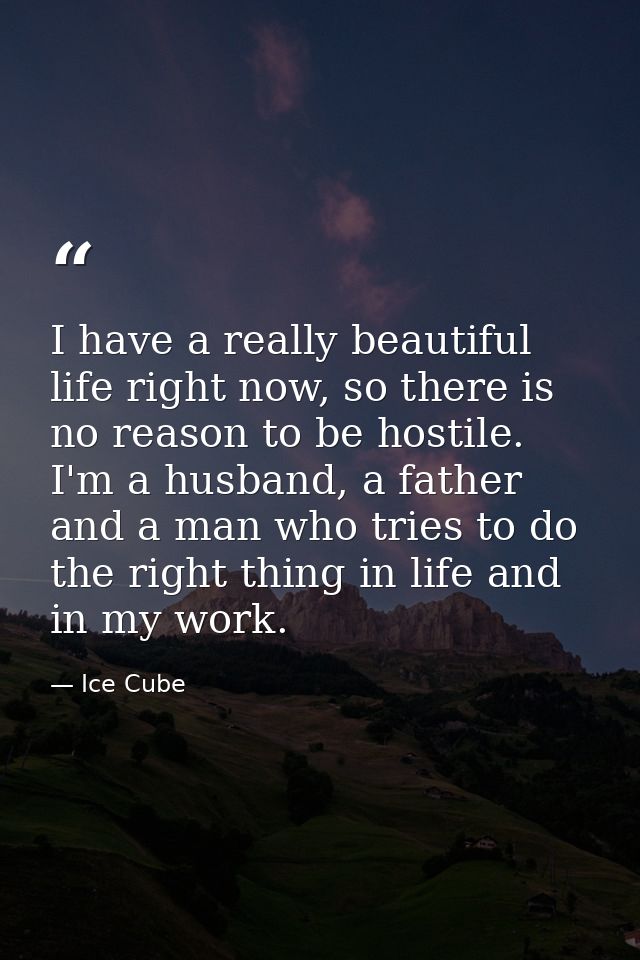 I have a really beautiful life right now, so there is no reason to be hostile. I'm a husband, a father and a man who tri — Ice Cube
