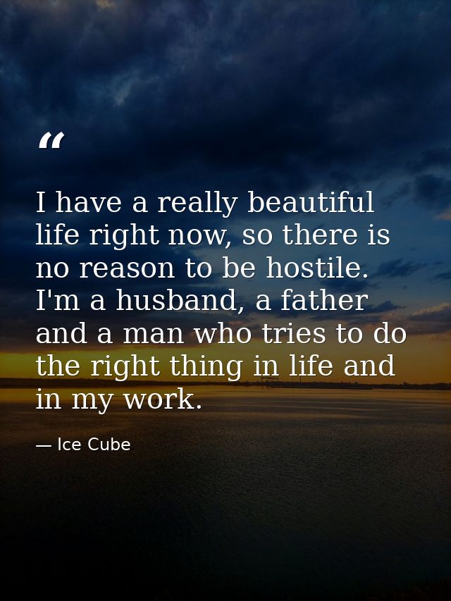 I have a really beautiful life right now, so there is no reason to be hostile. I'm a husband, a father and a man who tri — Ice Cube