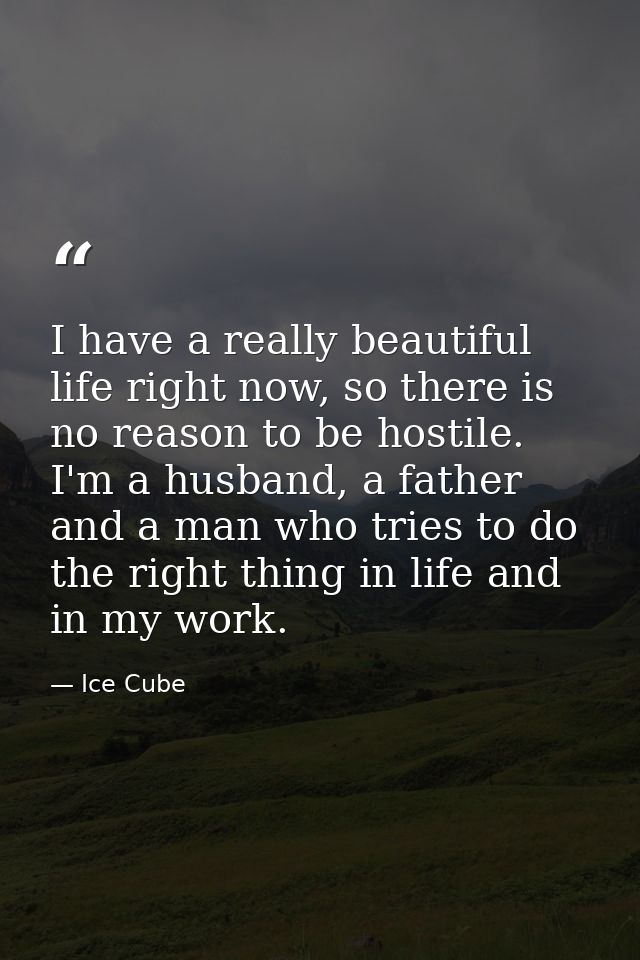 I have a really beautiful life right now, so there is no reason to be hostile. I'm a husband, a father and a man who tri — Ice Cube