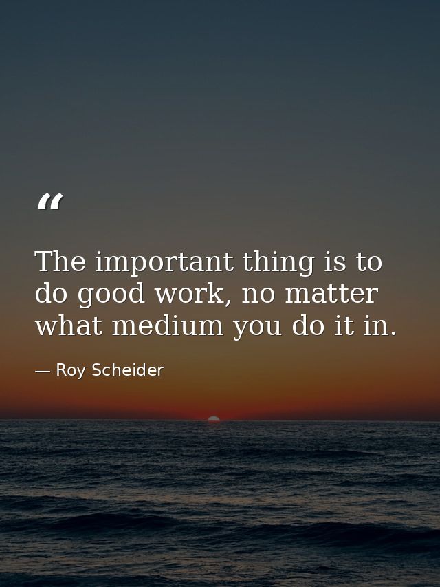 The important thing is to do good work, no matter what medium you do it in. — Roy Scheider