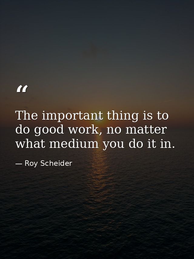 The important thing is to do good work, no matter what medium you do it in. — Roy Scheider