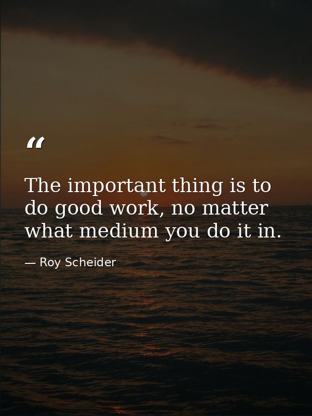 The important thing is to do good work, no matter what medium you do it in. — Roy Scheider
