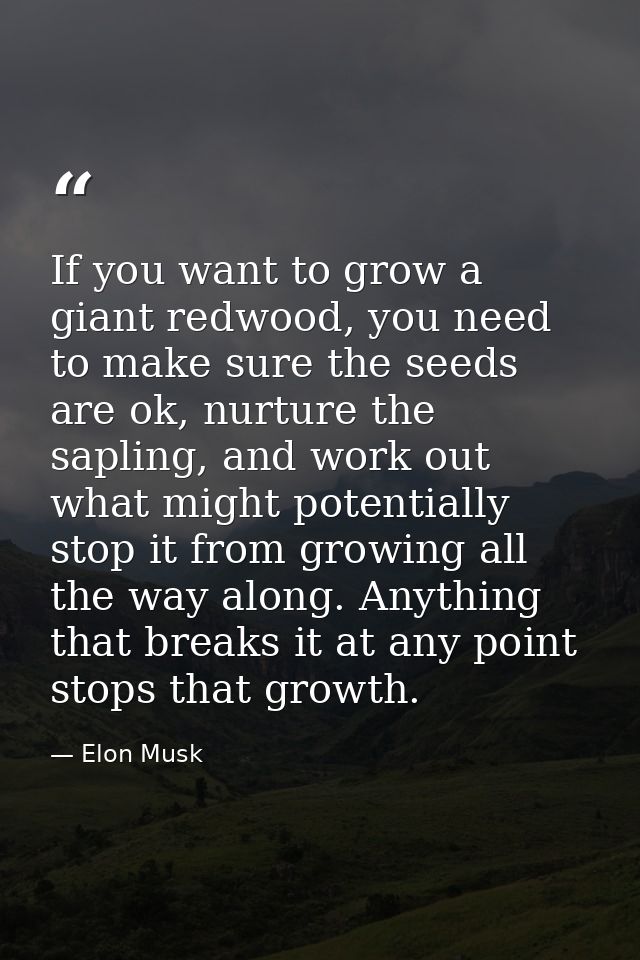 If you want to grow a giant redwood, you need to make sure the seeds are ok, nurture the sapling, and work out what migh — Elon Musk