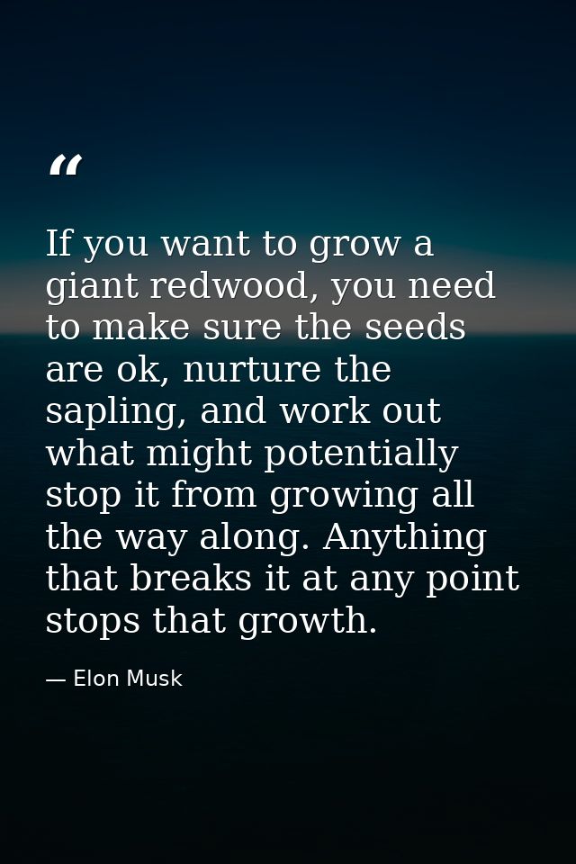 If you want to grow a giant redwood, you need to make sure the seeds are ok, nurture the sapling, and work out what migh — Elon Musk