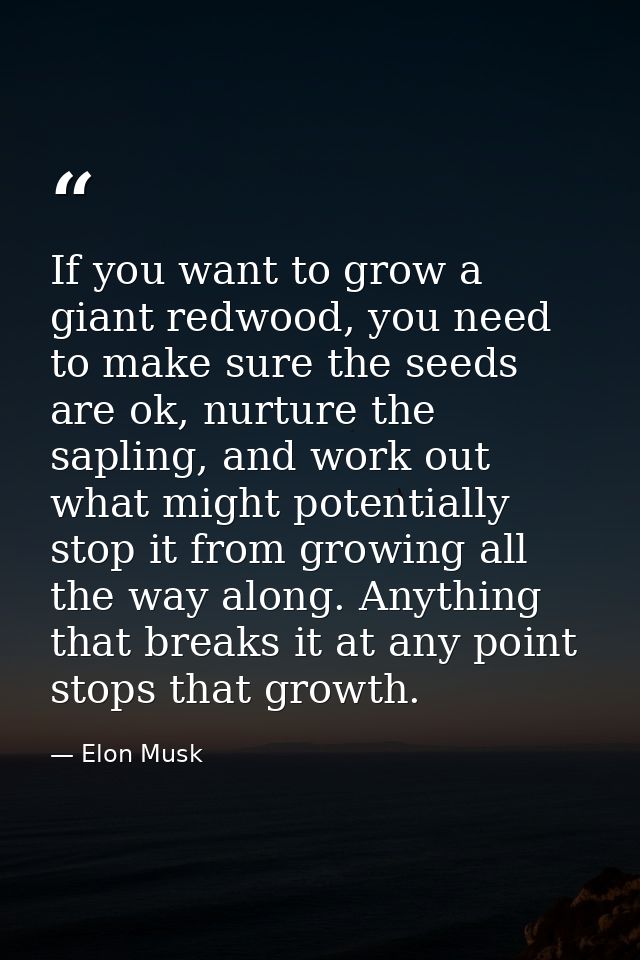 If you want to grow a giant redwood, you need to make sure the seeds are ok, nurture the sapling, and work out what migh — Elon Musk