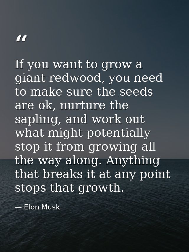 If you want to grow a giant redwood, you need to make sure the seeds are ok, nurture the sapling, and work out what migh — Elon Musk